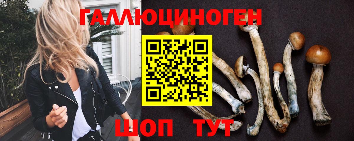 Псилоцибиновые грибы GOLDEN TEACHER  Вход с VPN  Нижнекамск  купить  сайты  Псилоцибиновые грибы Magic Shrooms 